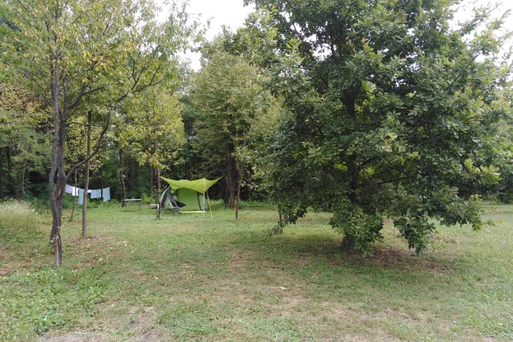 Camping Bogata Šuma - Rich Forest