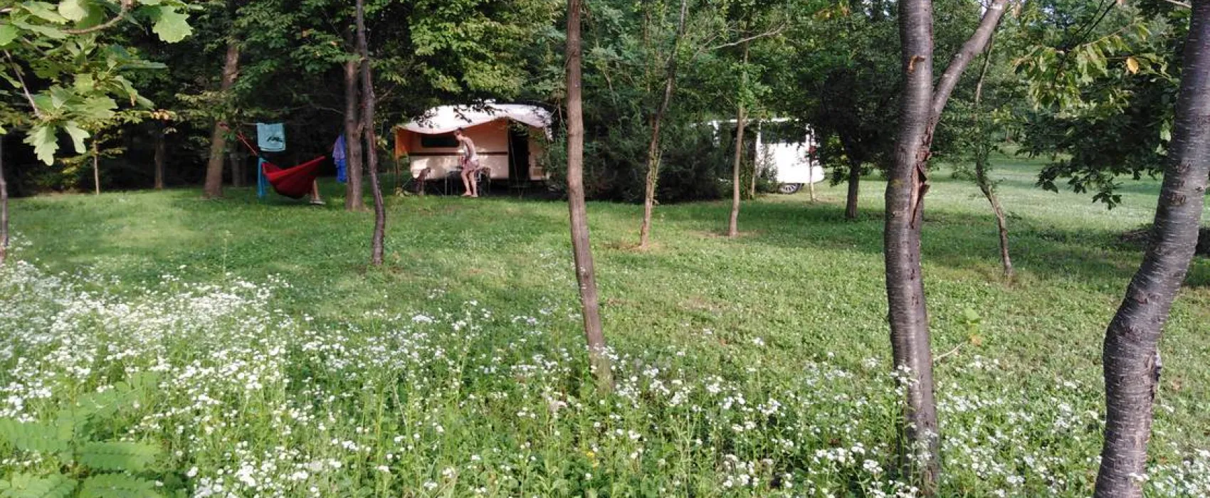 Camping Bogata Šuma - Rich Forest