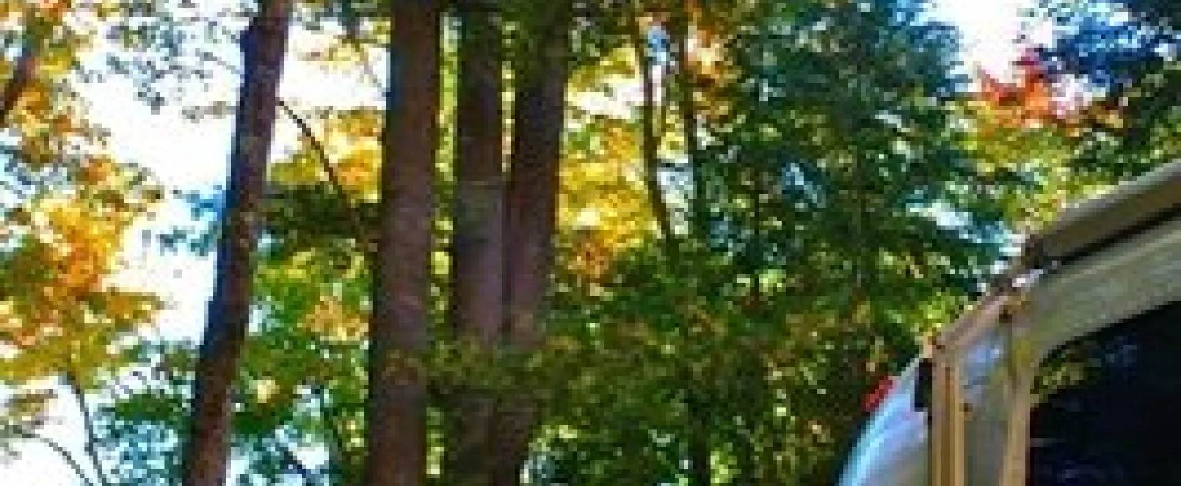 Rivermouth Modern Campground