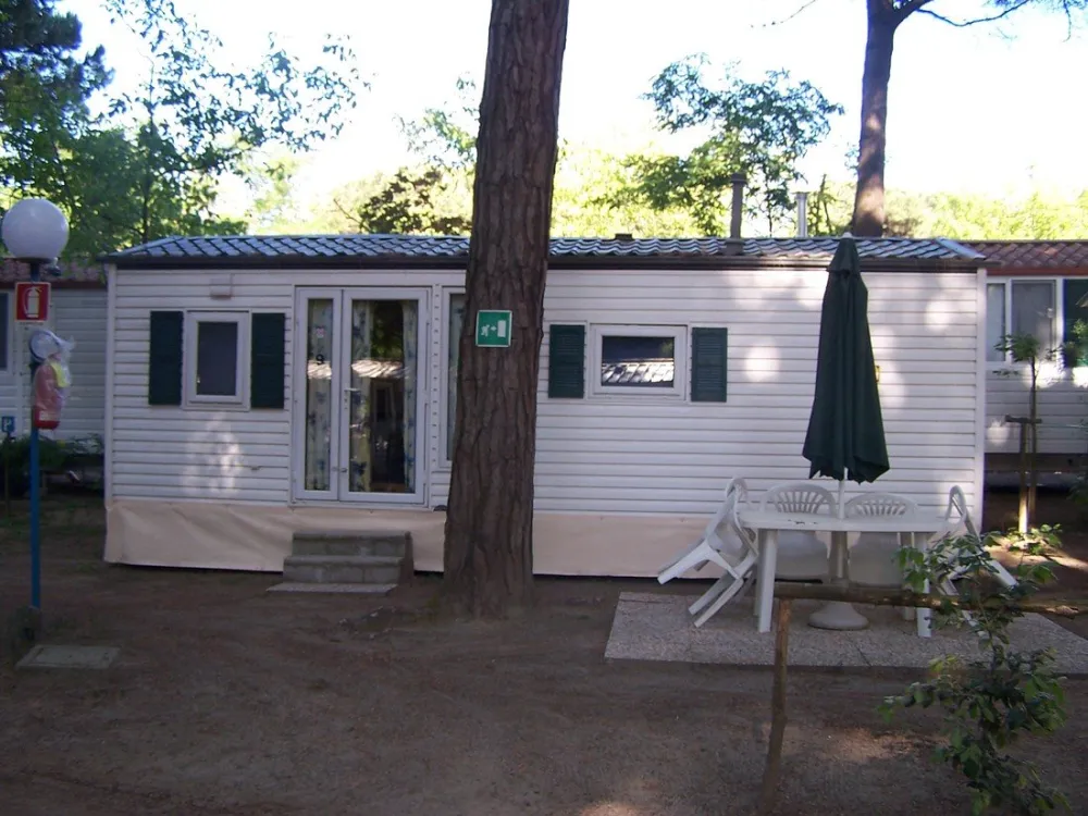 International Piomboni