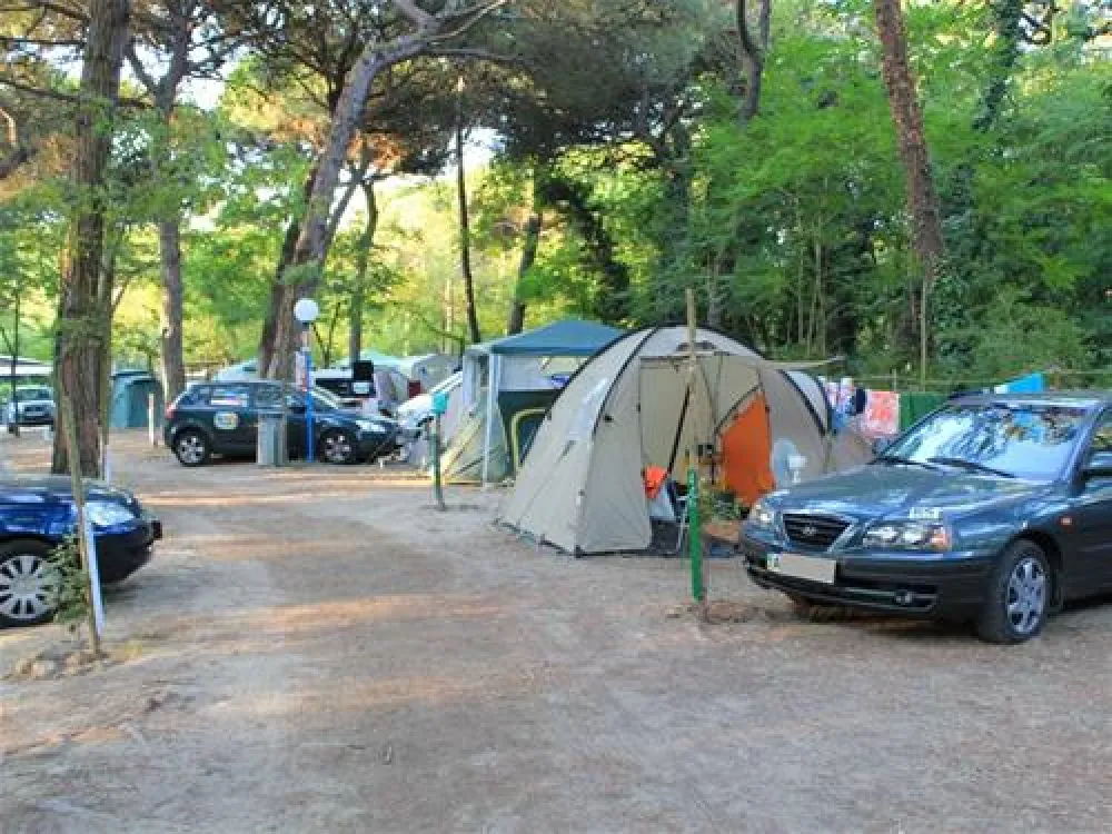 International Piomboni