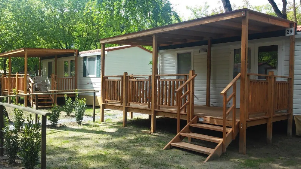 International Piomboni