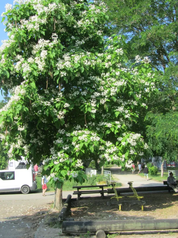 Municipal des Trois Châteaux