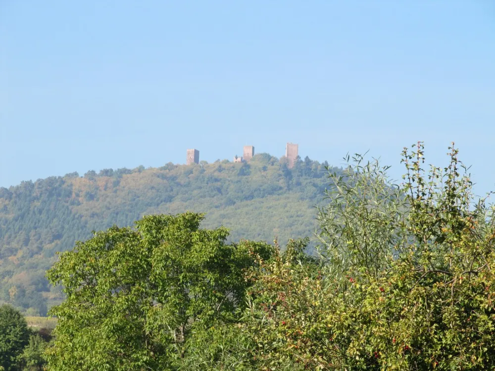 Municipal des Trois Châteaux