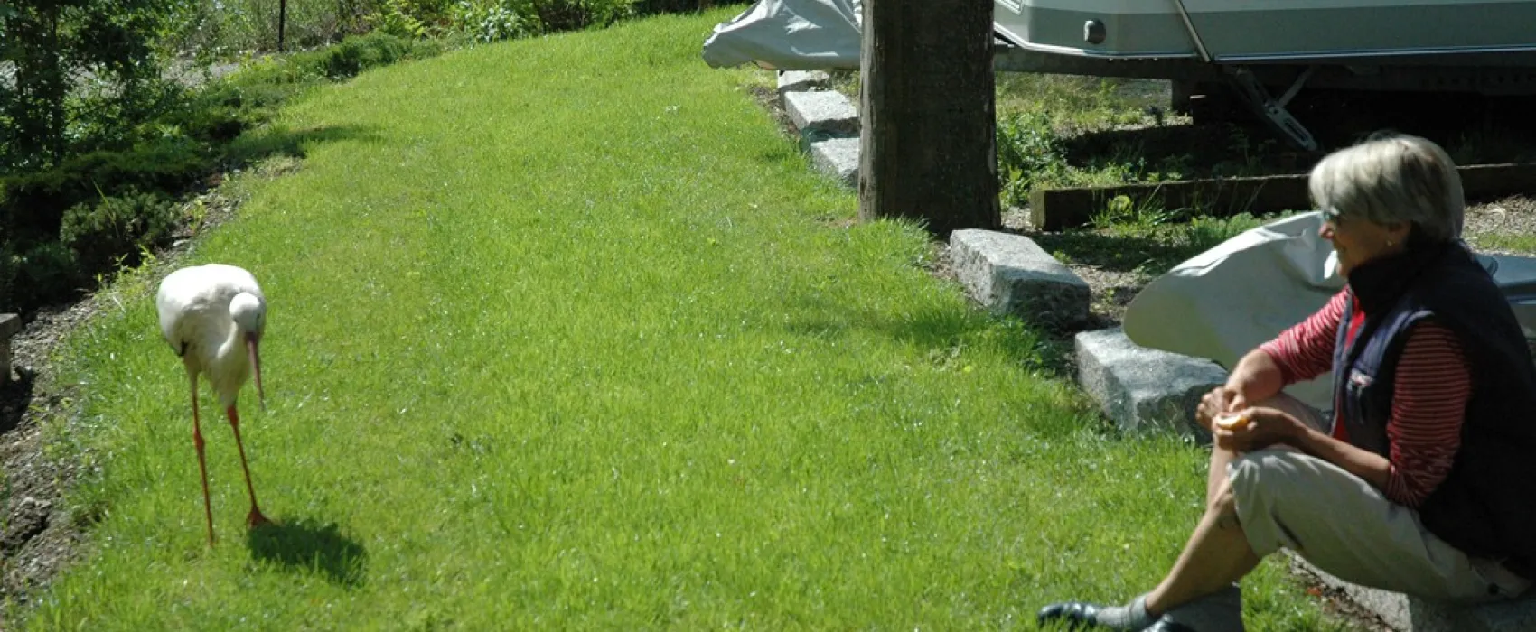 Municipal des Trois Châteaux