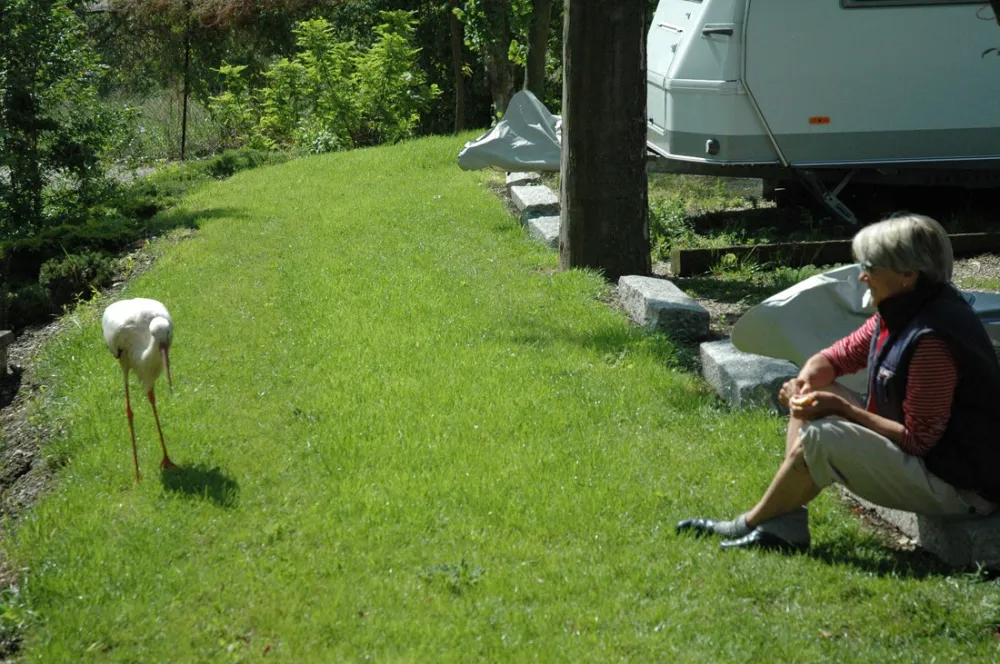 Municipal des Trois Châteaux