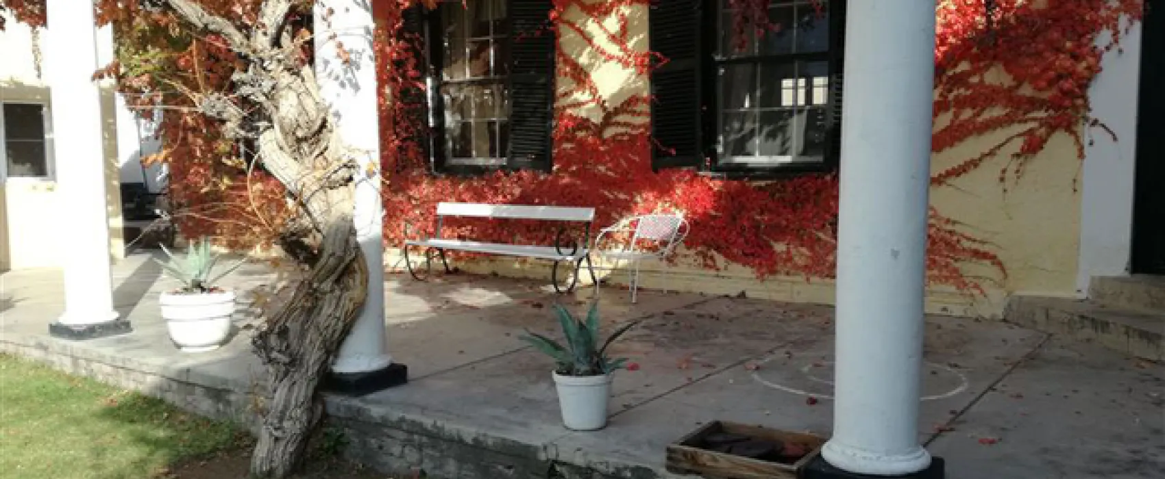 Melton Wold Guest Farm