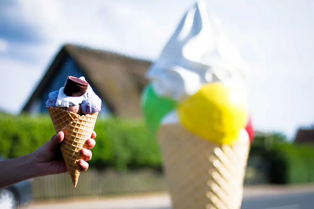 Færgegårdens Camping