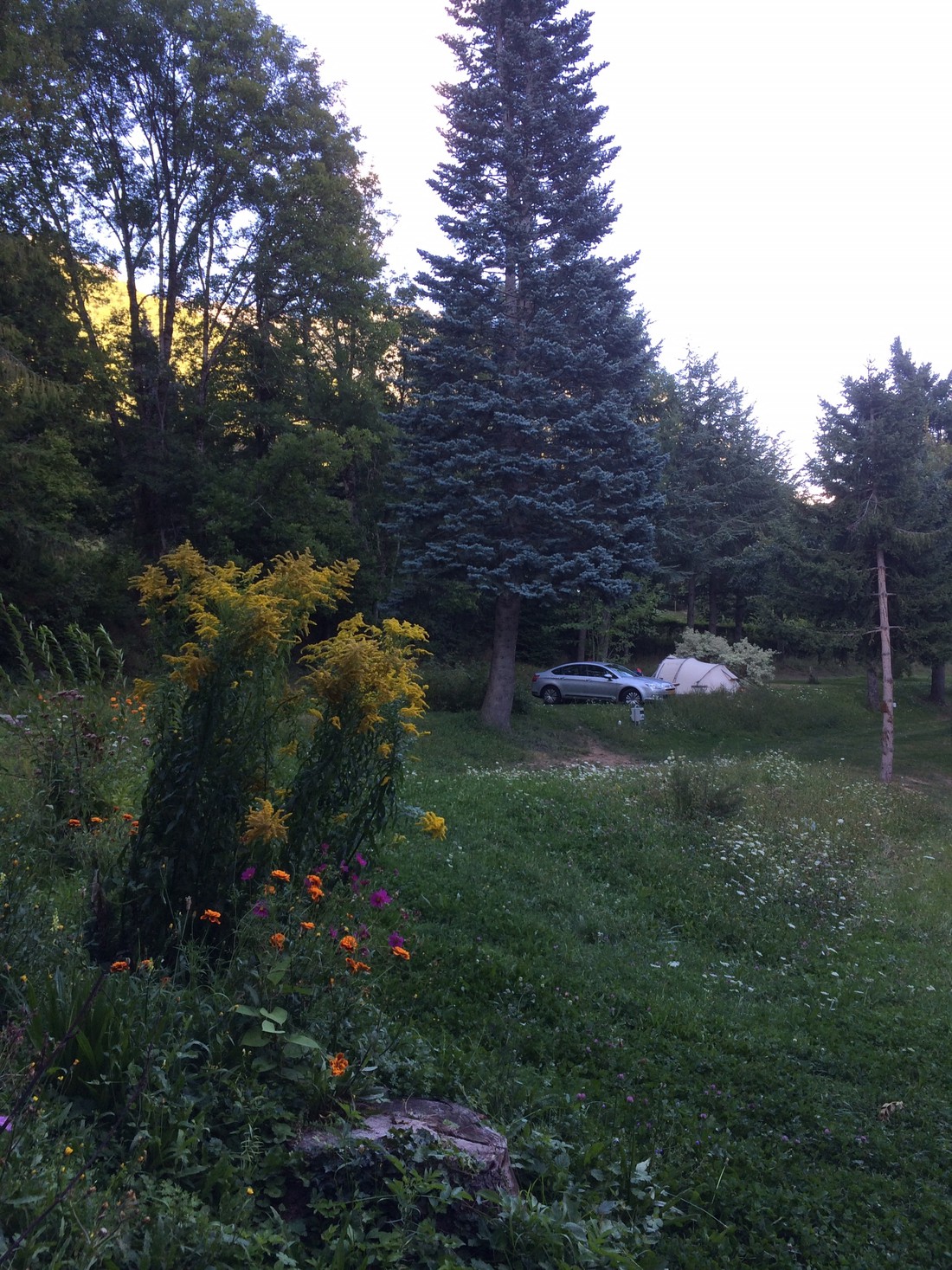 Camping La Villette photo 4