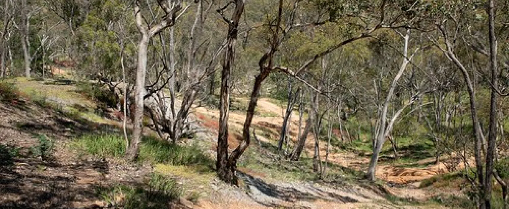 Ophir Reserve Campground