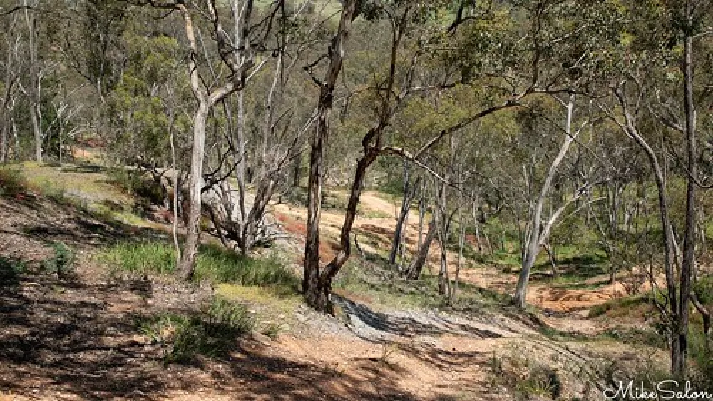 Ophir Reserve Campground