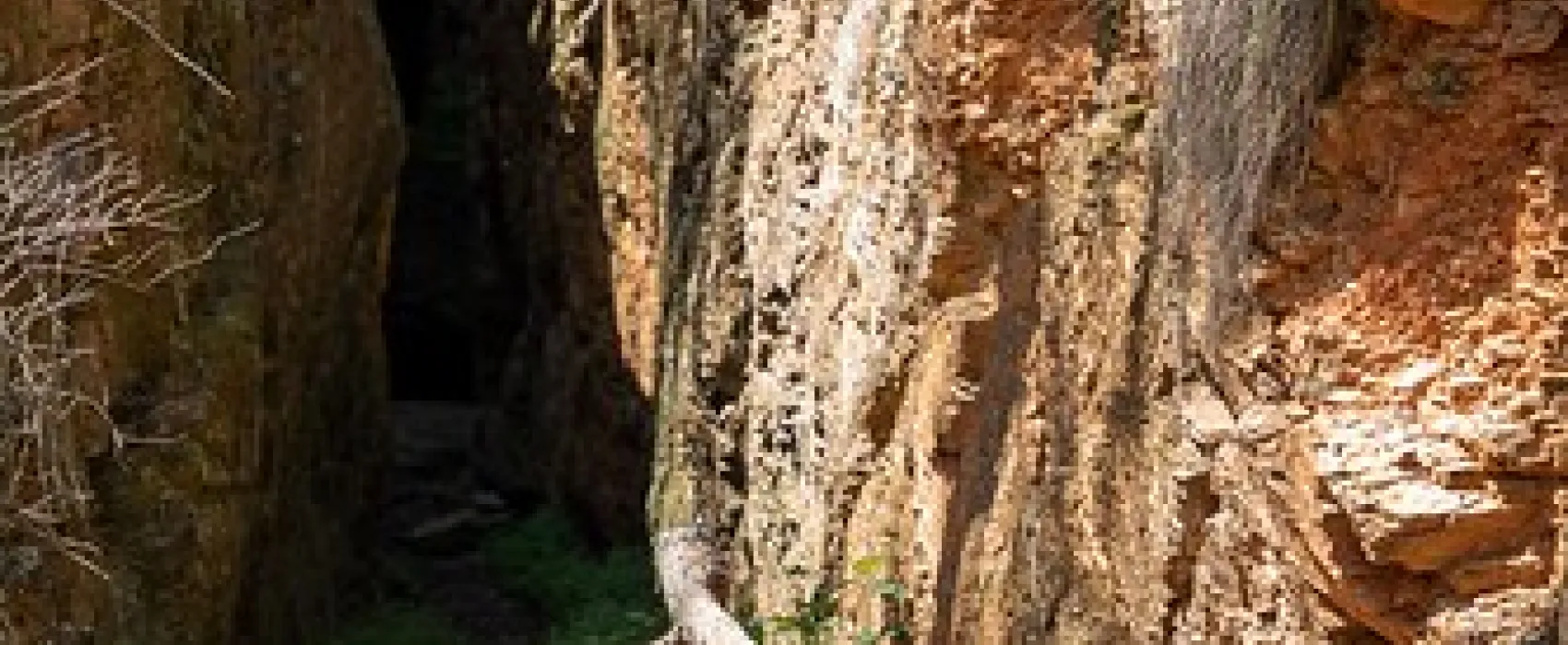 Ophir Reserve Campground