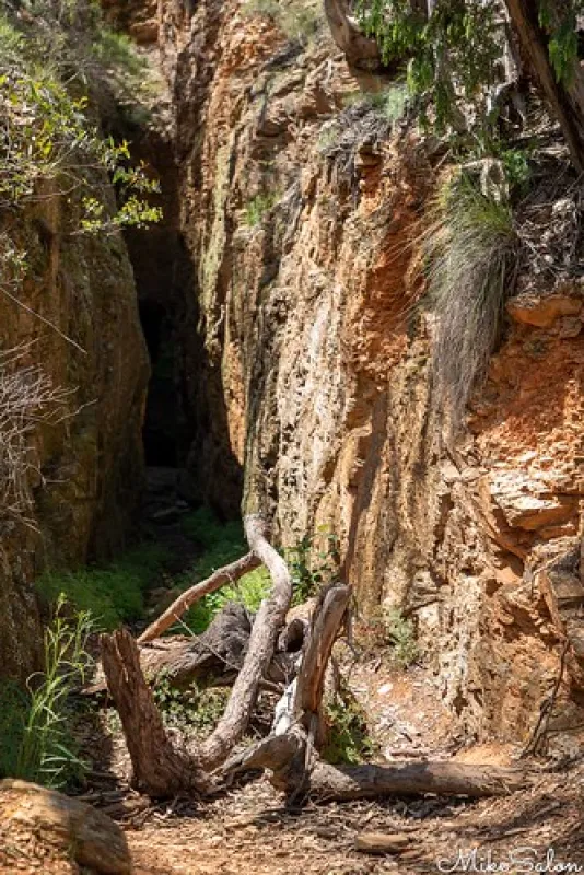 Ophir Reserve Campground