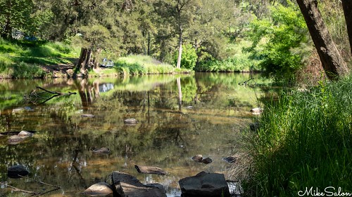 Ophir Reserve Campground photo 5