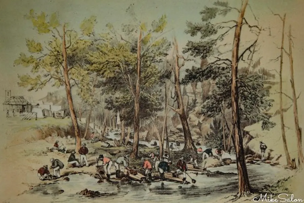 Ophir Reserve Campground