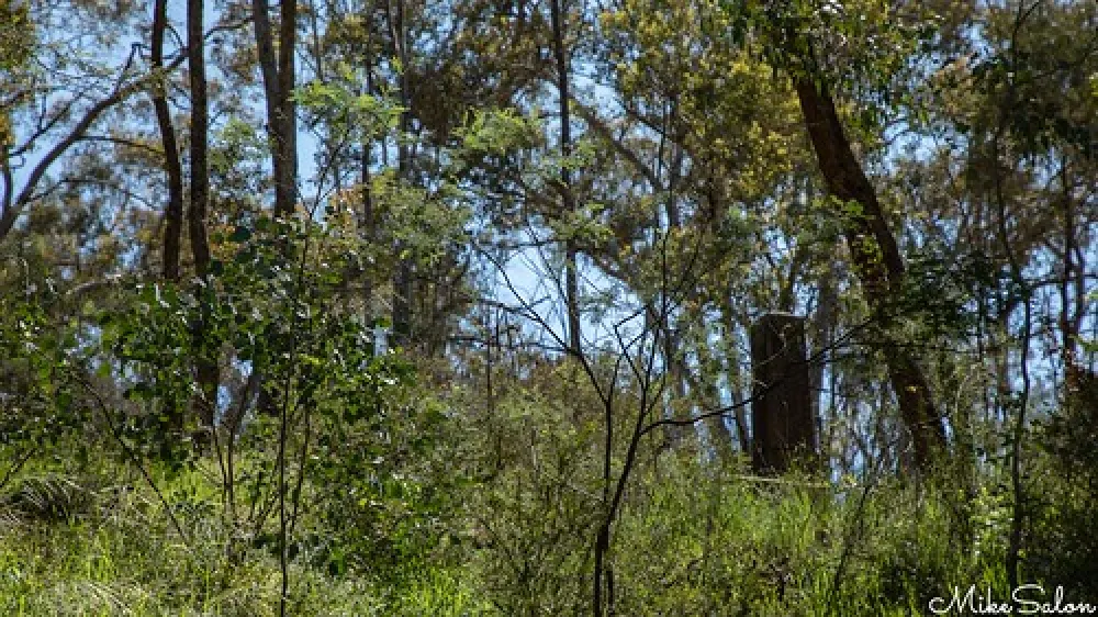 Ophir Reserve Campground