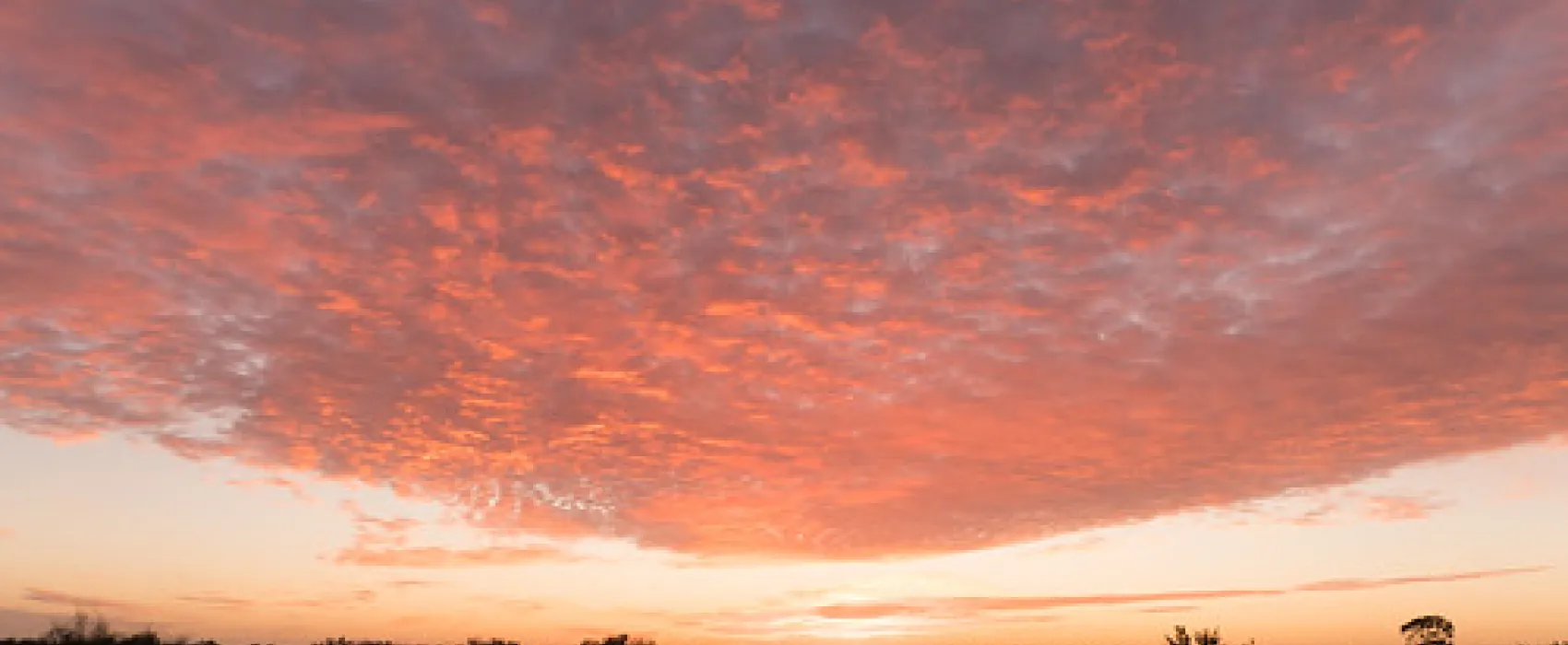 Western Beach Campground