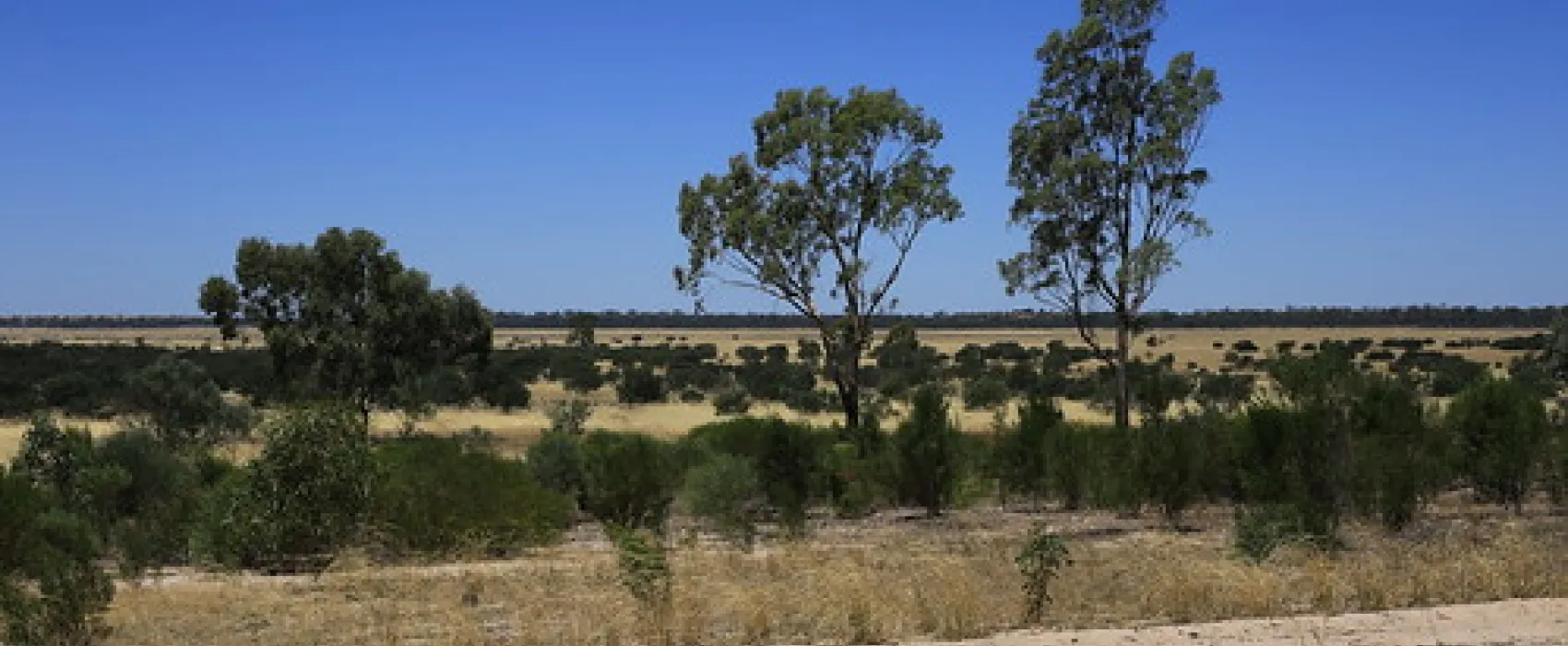 Western Beach Campground