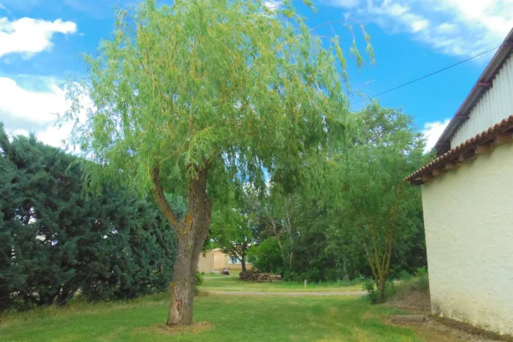 Camping rural de Bardonnenche Roger