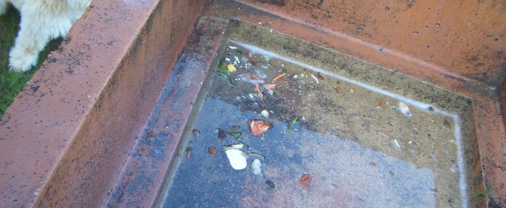 Municipal du Salmengrund