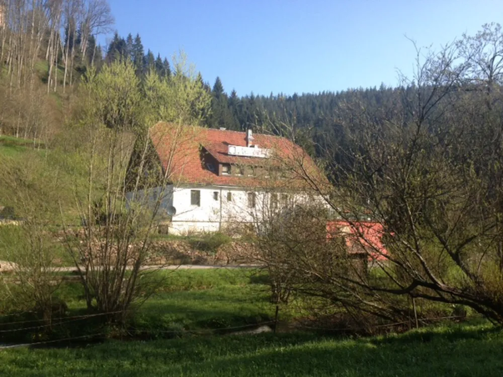 Schwarzwald Fautsburg