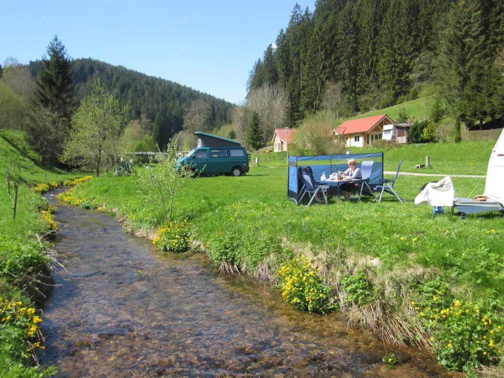 Schwarzwald Fautsburg