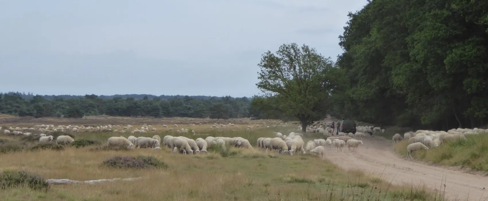 Minicamping De Oldenhove