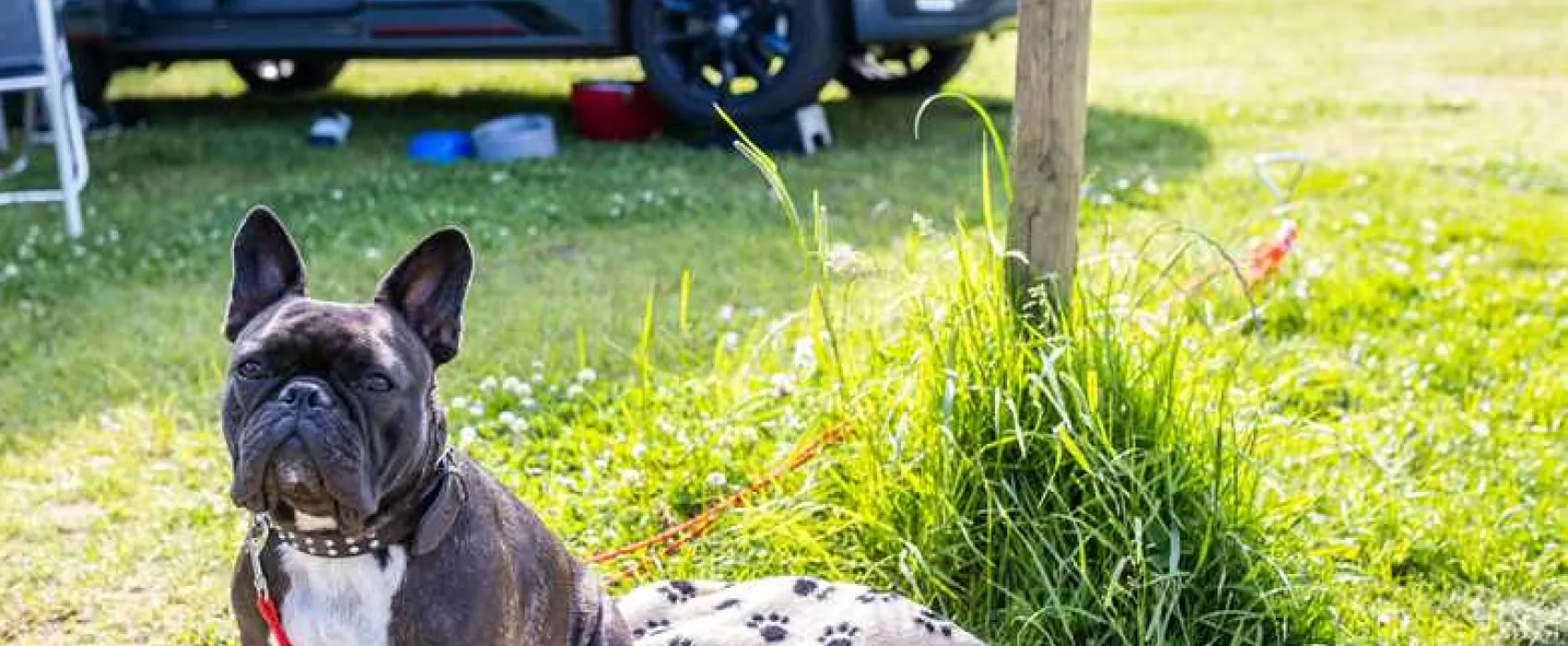 Becks Bay Camping and Glamping