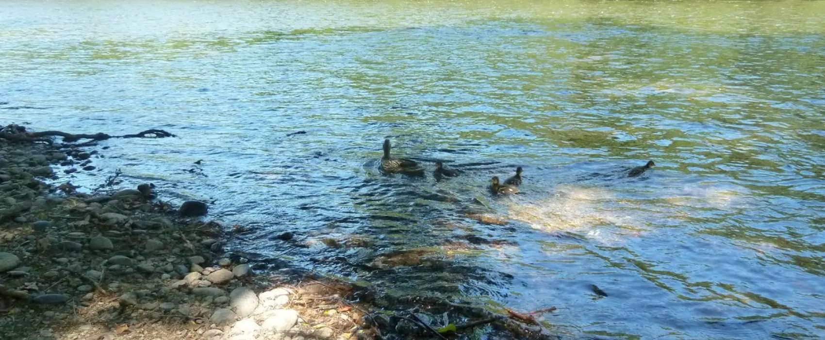 Huttopia Beaulieu sur Dordogne
