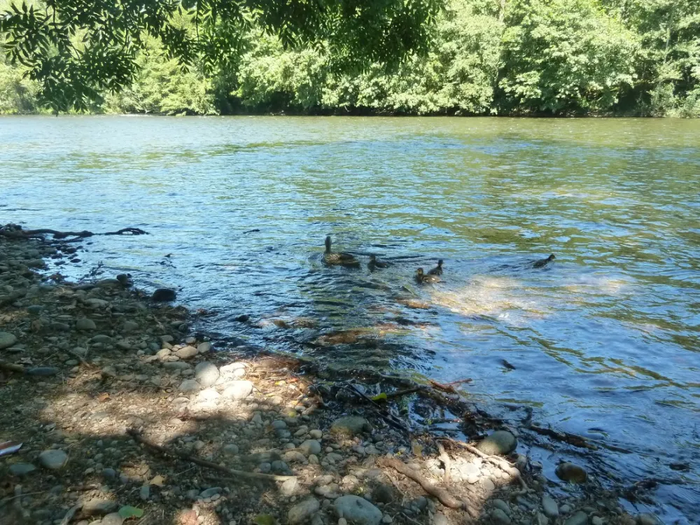 Huttopia Beaulieu sur Dordogne