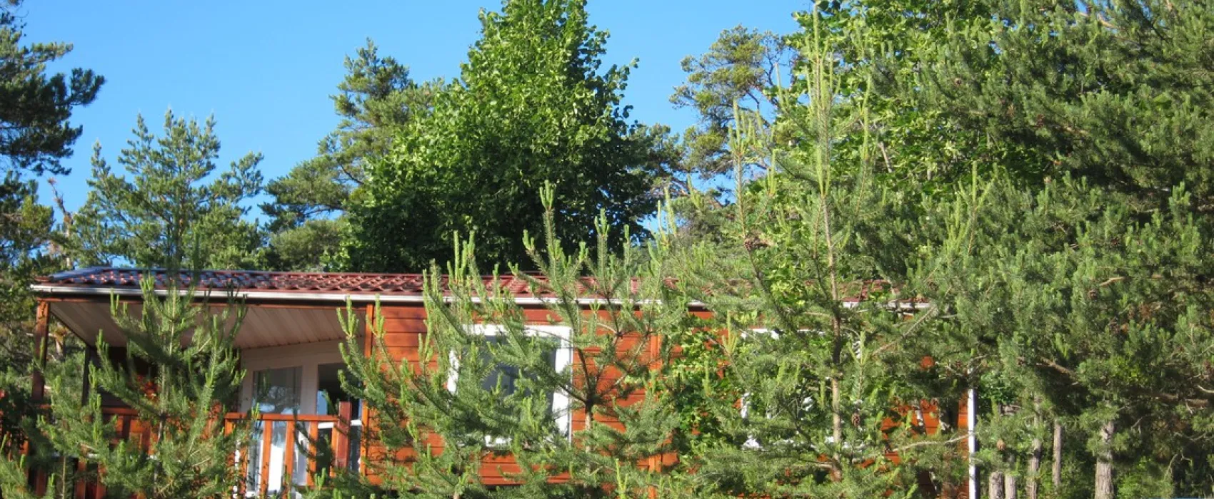 Municipal la Fontaine