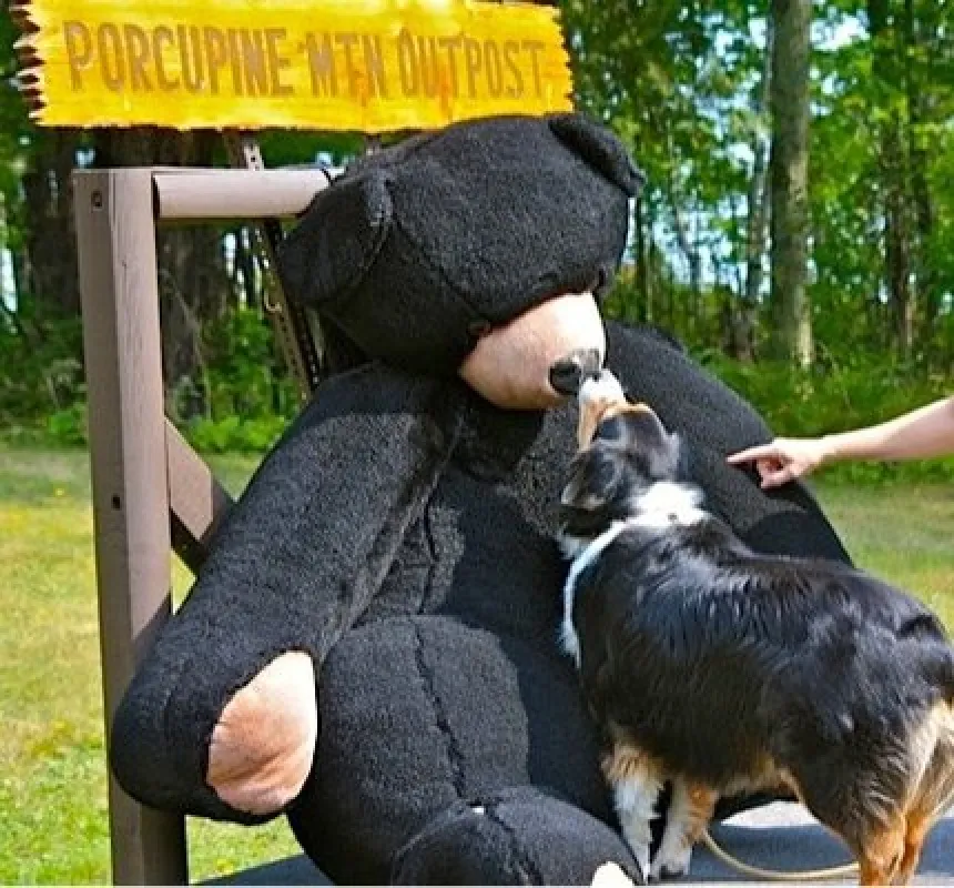 Union Bay Campground