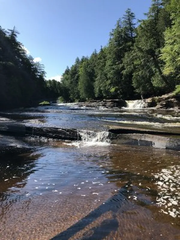 Union Bay Campground