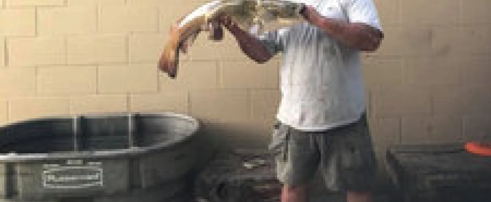 Camp on the Kentucky