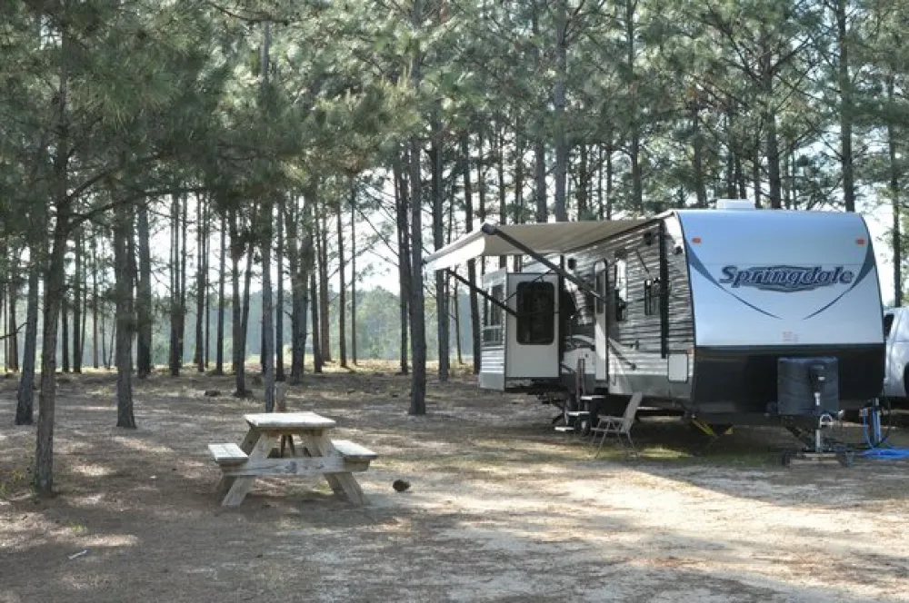 Magnolia Branch Wildlife Reserve