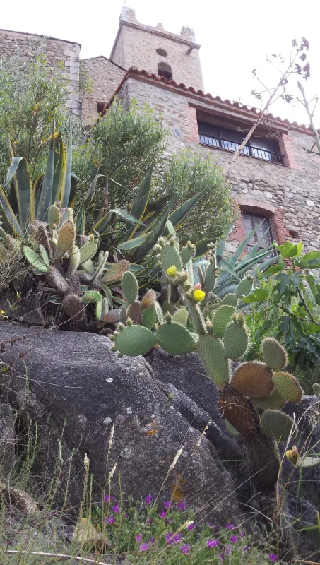 Municipal des Escoumes