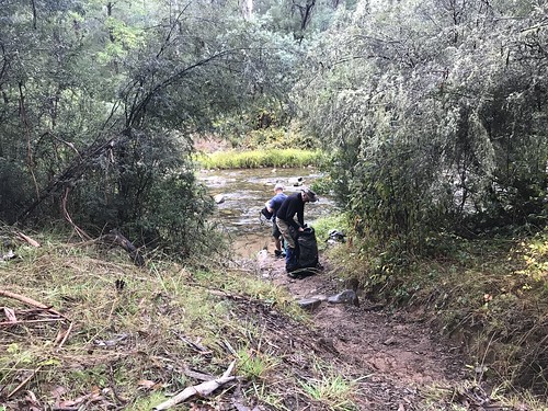 Tunnel Bend Flat Campground photo 3