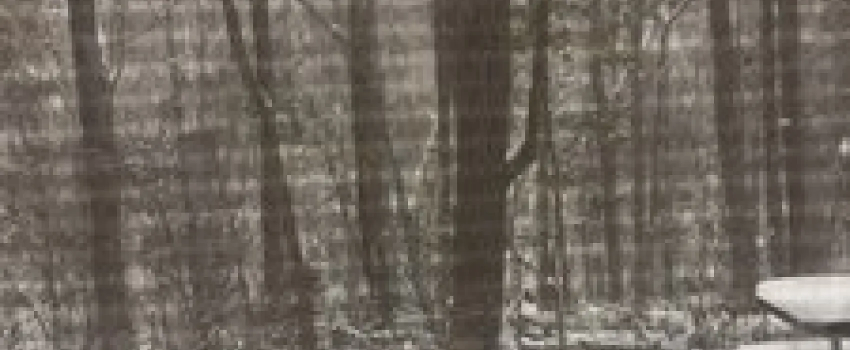 Merry Meadows Recreation Farm