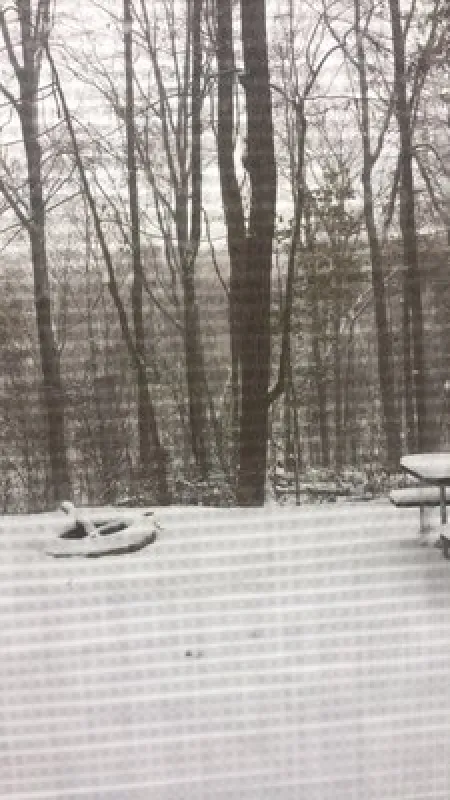 Merry Meadows Recreation Farm