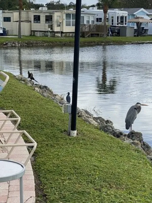 Winter Quarters Manatee RV Resort