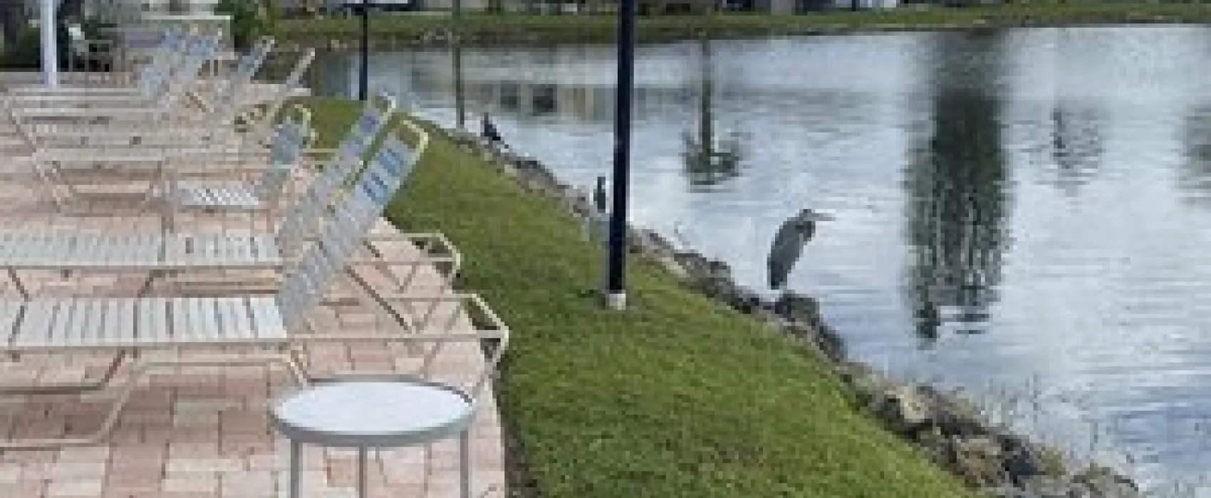 Winter Quarters Manatee RV Resort