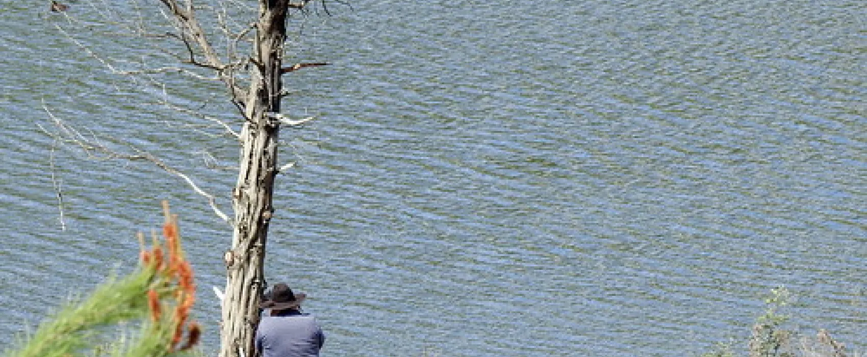 Carcoar Dam Campground