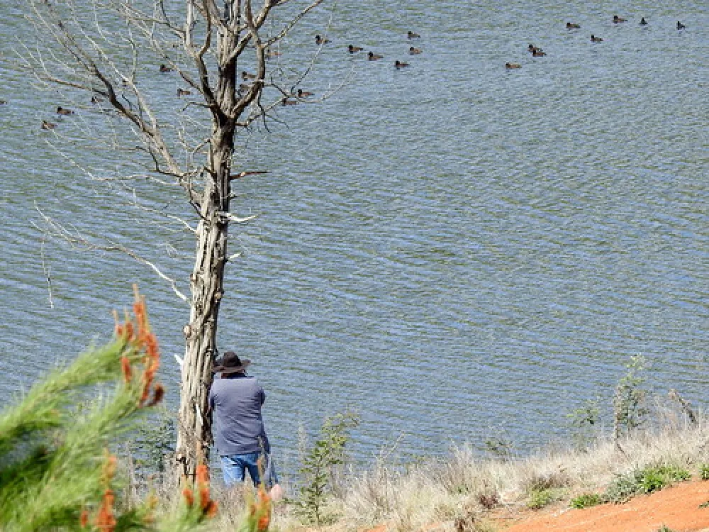 Carcoar Dam Campground