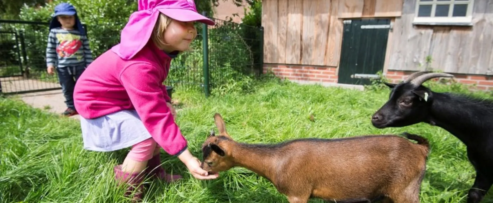 De Goede Weide Recreatie