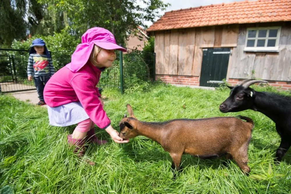 De Goede Weide Recreatie