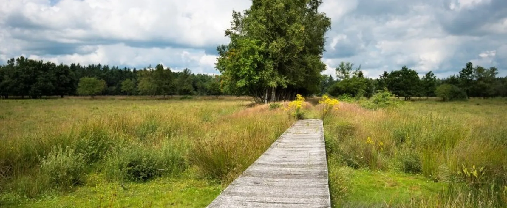 De Goede Weide Recreatie