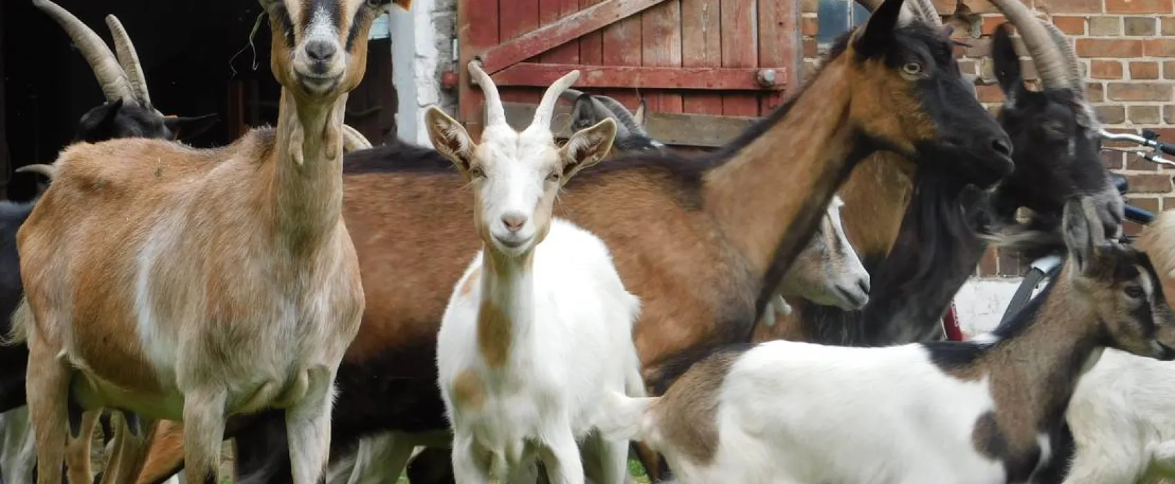 Ecotouristfarm Na Łęgach