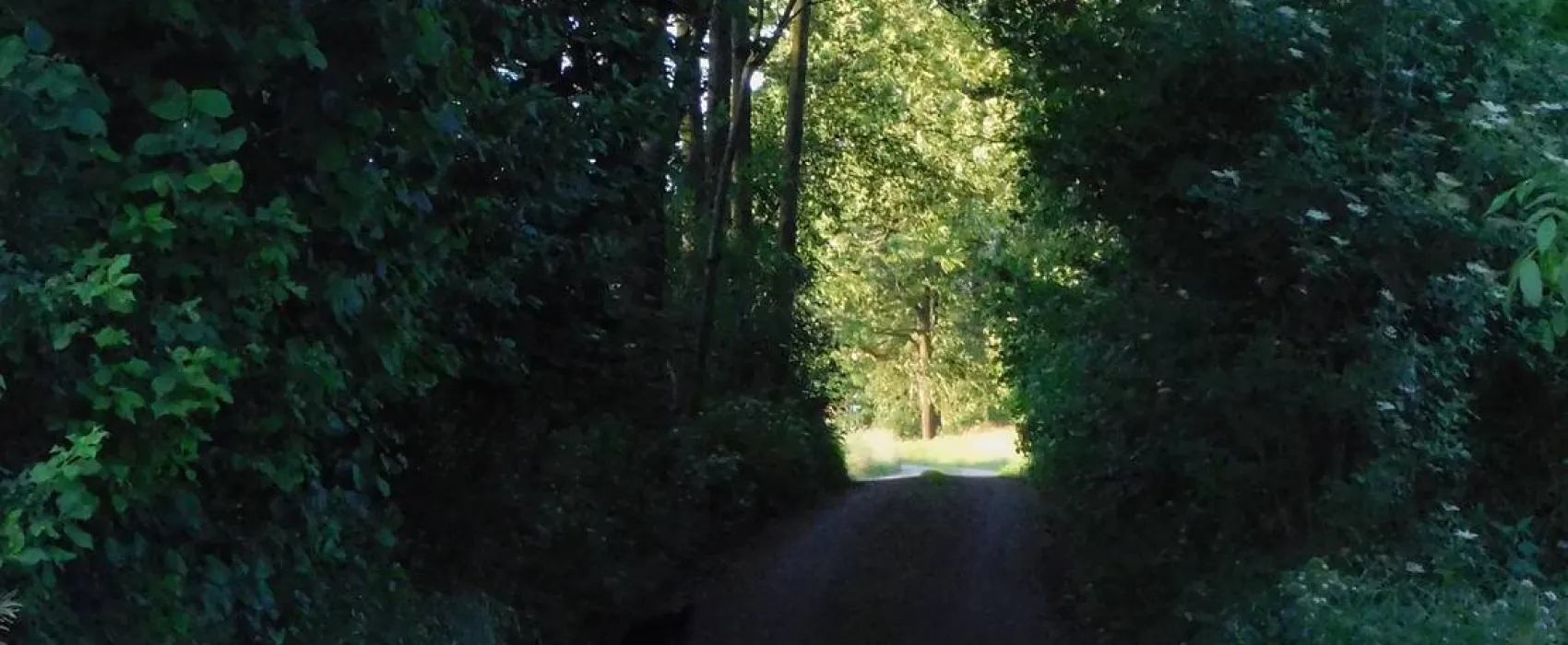 Ecotouristfarm Na Łęgach