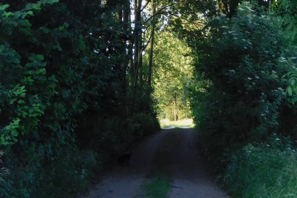 Ecotouristfarm Na Łęgach