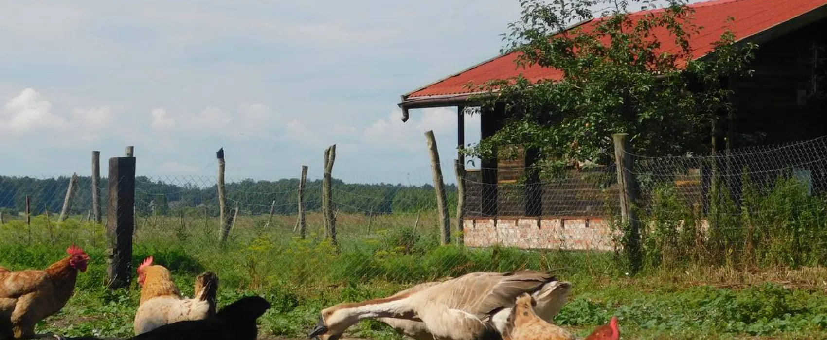 Ecotouristfarm Na Łęgach